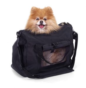 Voyager dans les transports en commun avec son animal de compagnie