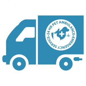 Comment venir en aide à un chien accidenté