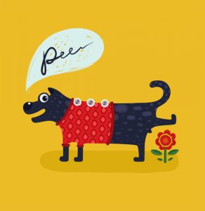 Apprenez la propreté à votre chien