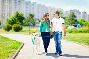 La santé cardiovasculaire et les avantages d'avoir un chien