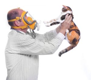 Allergies aux animaux de compagnie - Comment réduire les symptômes ?