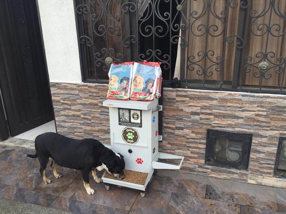 un chien errant mange au distributeur
