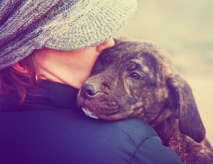 Ne traitez pas votre chien comme un bébé