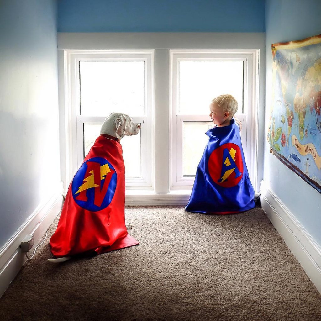 Un chien et un enfant jouant ensemble