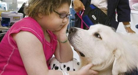 une petite fille et son chien