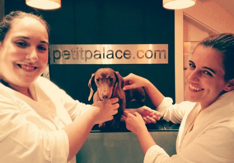 deux femmes prennent soin d'un chien