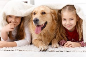 Les dix races les plus adaptées aux enfants