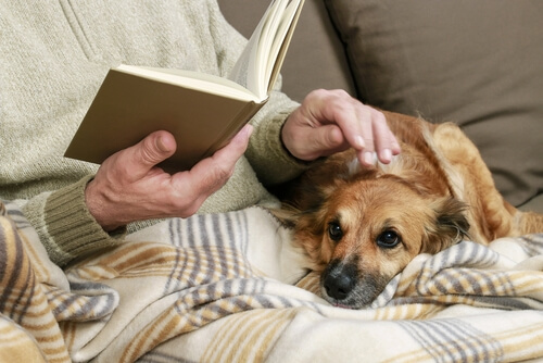 parler à son chien est bénéfique
