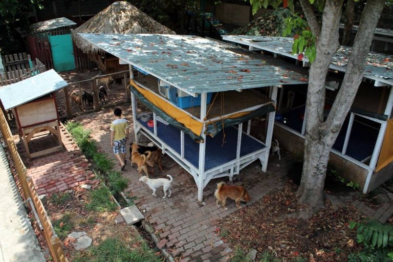 une photo prise au refuge