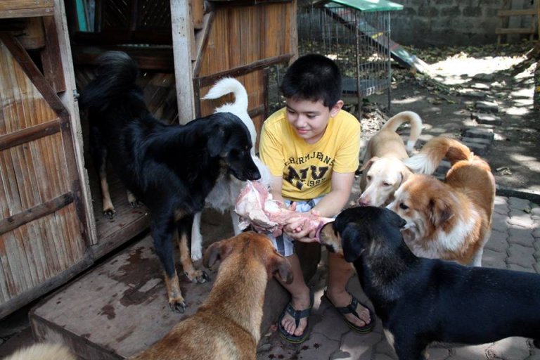 Ken nourrit un groupe de chiens