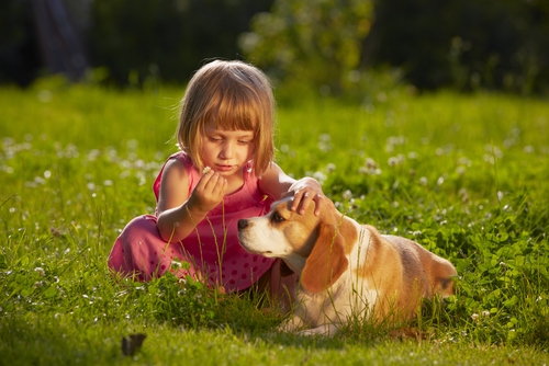 une petite fille et un chien