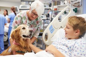 Comment les chiens aident-ils les enfants hospitalisés ?