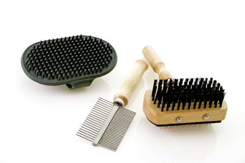 trois brosses pour peigner son chien