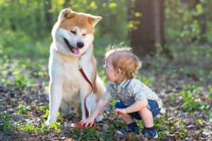Comment un chien change la vie d’un enfant sourd