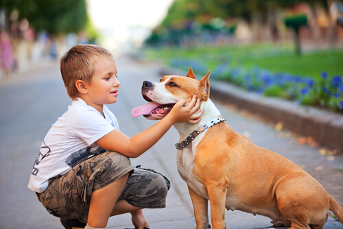 enfant à genoux qui caresse son chien