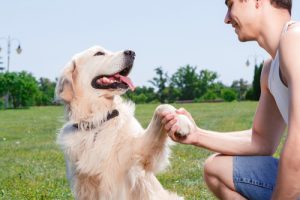 Votre chien peut déterminer si vous êtes heureux ou en colère