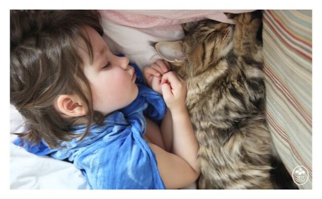 la fillette est son chat en train de dormir