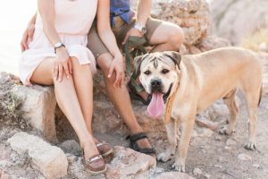 5 bonnes raisons d'avoir un chien