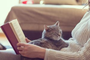 10 avantages d'avoir un chat à la maison