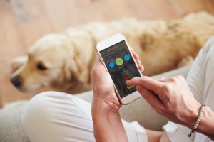 Top 5 des meilleures applications pour vous et votre chien