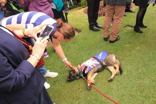 Gavel allongé aus sol avec des visiteurs