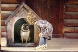 Un chien peut-il être maltraité inconsciemment ?