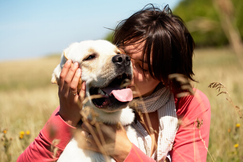 une femme embrasse son labrador