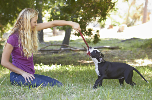 une femme et son chiot jouent avec une tresse