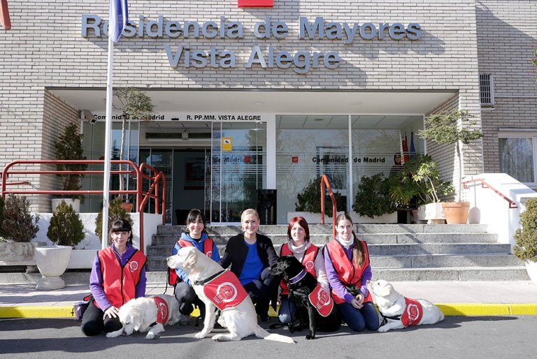 Un groupe de médecins et leurs quatre labradors