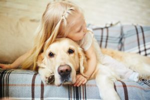 Les chiens détestent les câlins