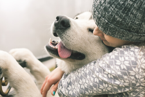 une femme fait un calin à un chien