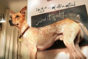 Une chanteuse Vénézuélienne compose une magnifique chanson dédiée aux chiens