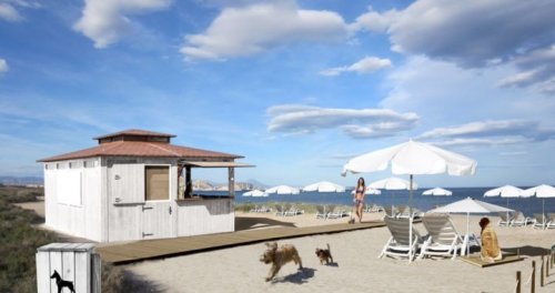 chiens qui s'amusent à la plage