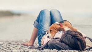 Pourquoi les chiens aiment-ils se placer entre nos pieds ?