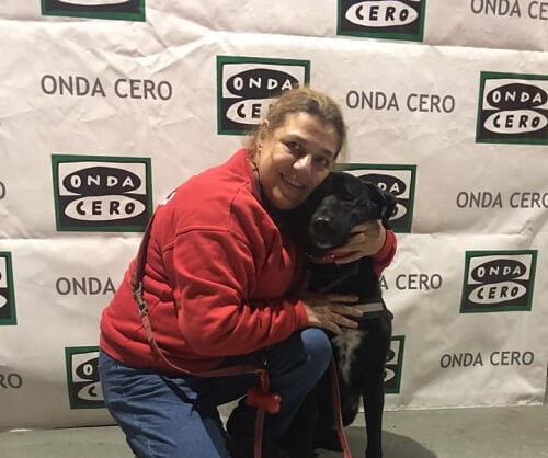 chien maltraité comme aide thérapeutique