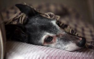 Les adieux à Walnut