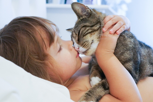 une fillette et un chat