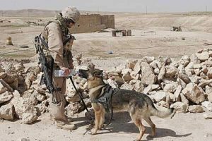 Une tendre histoire d'amitié pendant la guerre d'Afghanistan
