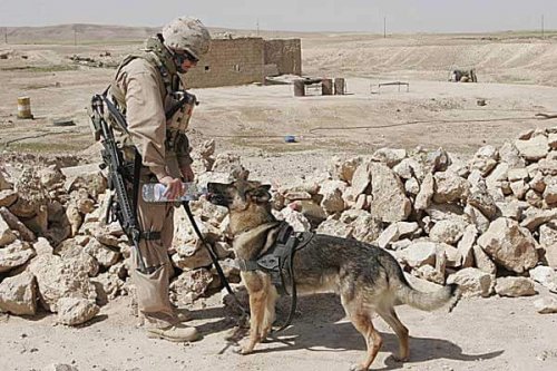 Une tendre histoire d’amitié pendant la guerre d’Afghanistan Une tendre histoire d’amitié pendant la guerre d’Afghanistan