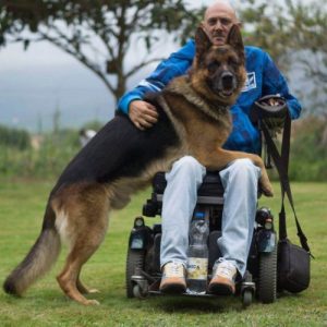 L'amour infini d'un chien pour son maitre hospitalisé