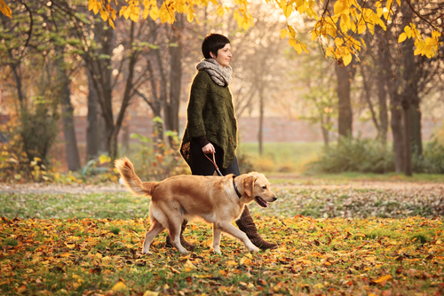 une femme promène son chien