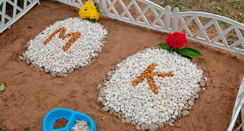 deux tombes pour animaux