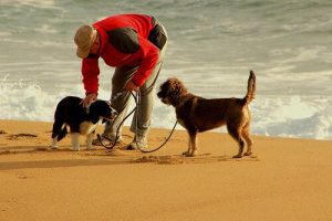 10 conseils pour partir courir avec votre chien