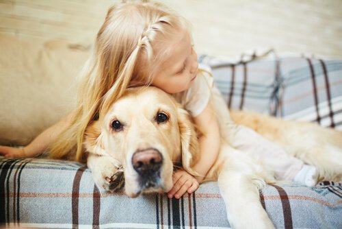 Une petite fille qui cajole un Golden retriever allongé sur un canapé