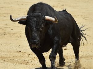 L'histoire du taureau de Lidia