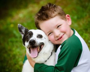 La science montre que les chiens ont des sentiments