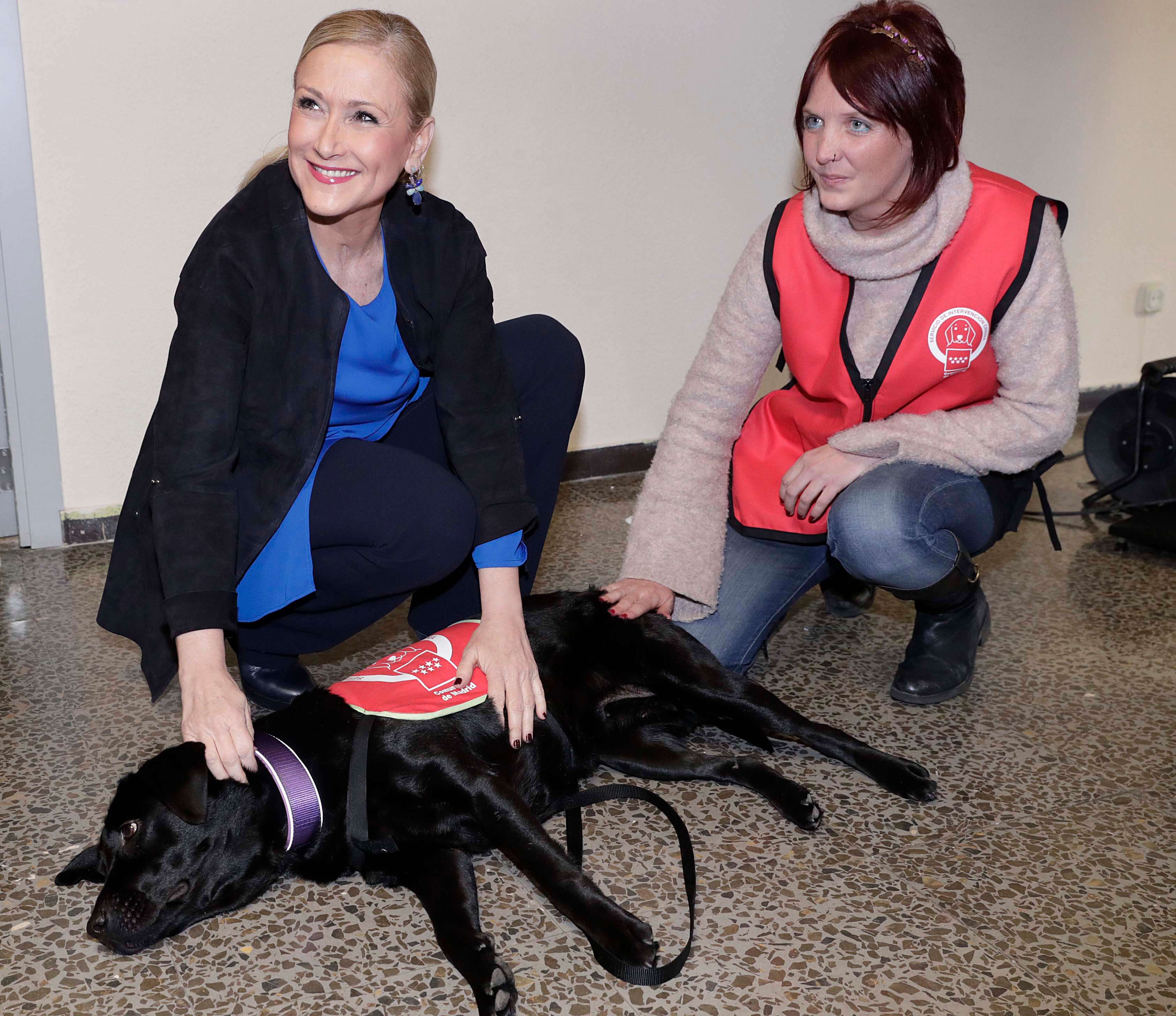 deux femmes et un chien