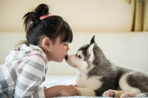 Quelles activités faire avec un chiot trop jeune pour sortir de la maison ?