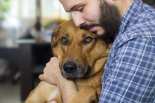 chien dans les bras de son maitre