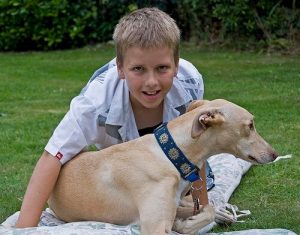 Les bienfaits de la cohabitation entre animaux et enfants